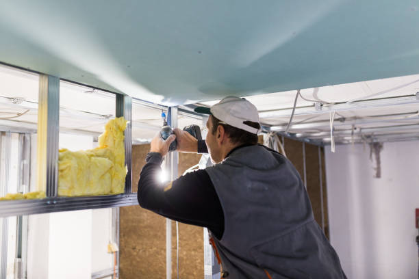 Best Wall Insulation Contractor  in Captain Cook, HI